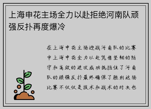 上海申花主场全力以赴拒绝河南队顽强反扑再度爆冷